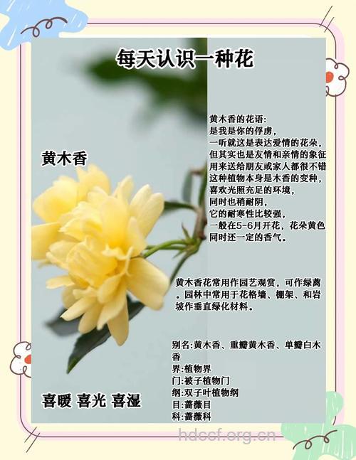 惊！各种花香的神奇功效