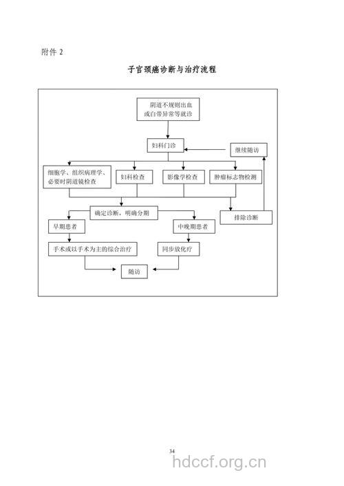 宫颈癌患者的治疗思路