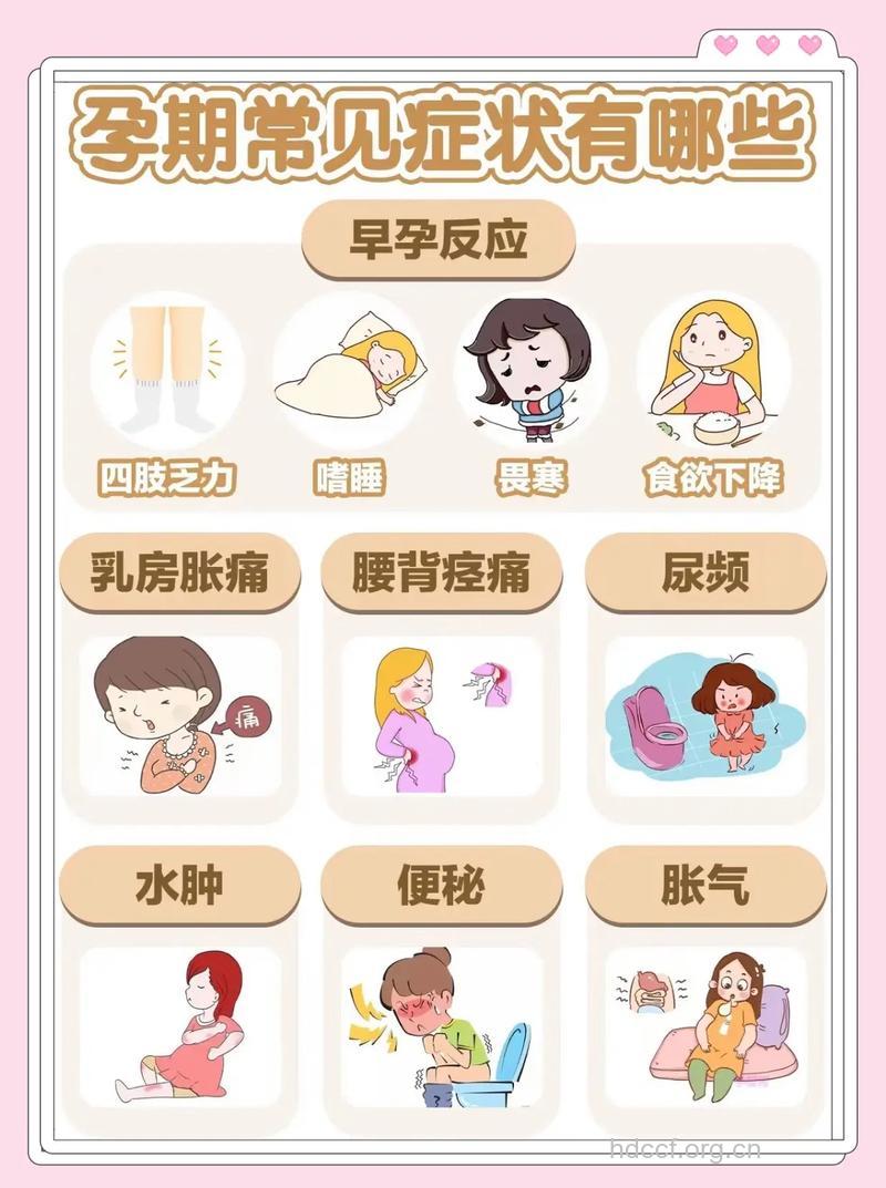 怀孕后有什么症状 如何诊断自己是否怀孕