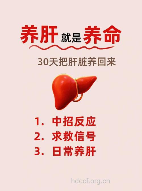 想做健康女人吗 养好肝是重中之重