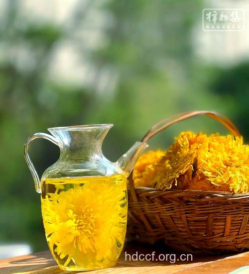 呵护眼镜的7款必备花草茶