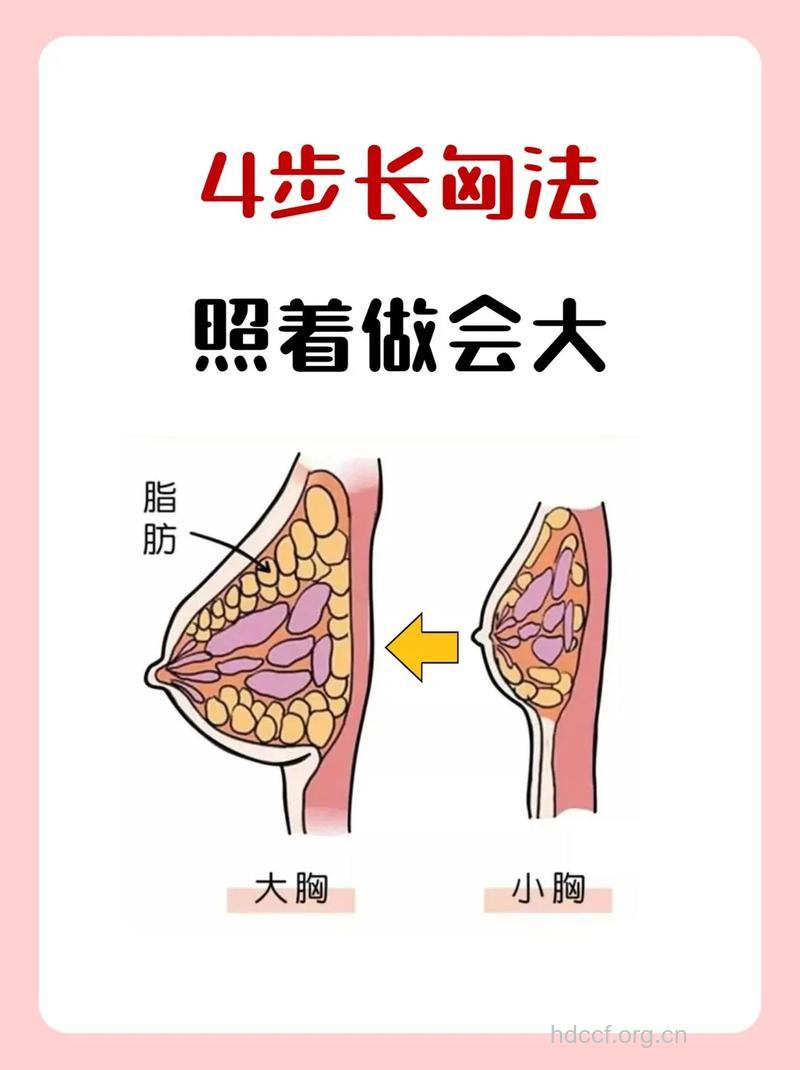 人流后乳房为什么会变大 如何让乳房变大