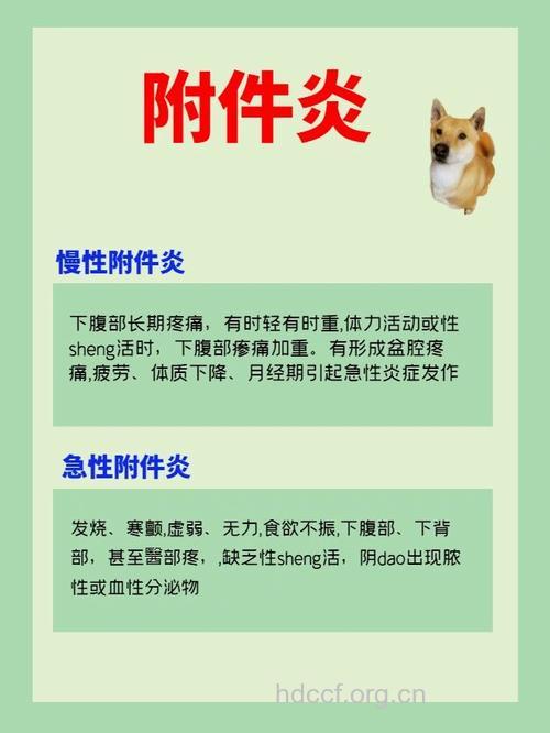 办公室白领如何预防附件炎