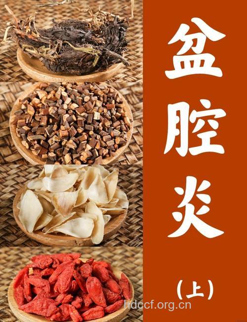 治疗附件炎中药3方