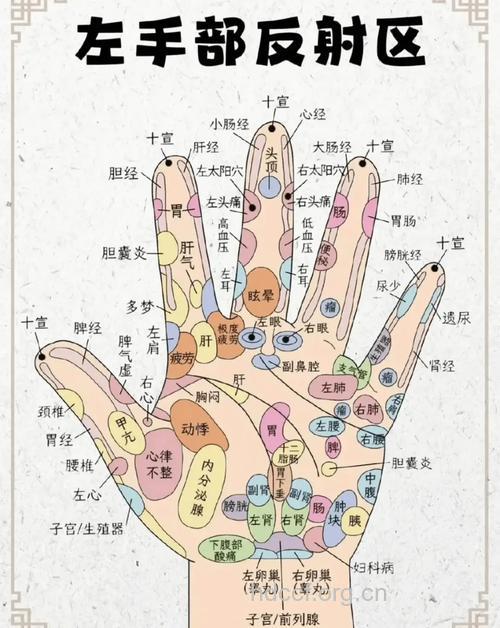 教你如何从手掌看出健康