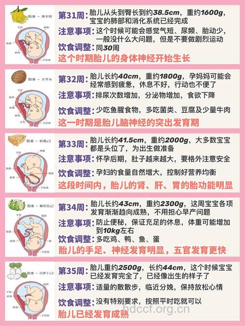 孕妇怀孕十个月的注意事项与胎儿状况