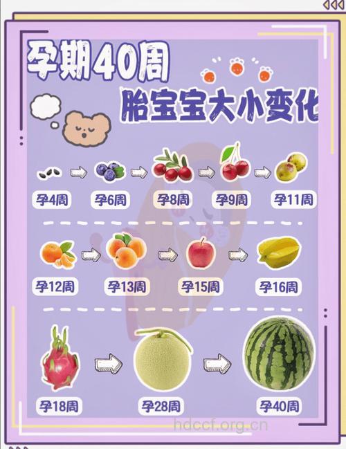 孕妇怀孕1个月的注意事项与胎儿状况