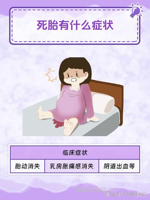 曾胎死宫内的孕妇能再怀孕吗