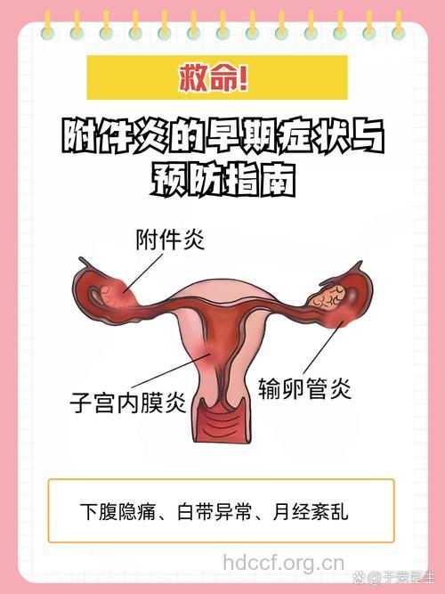 附件炎症状和预防