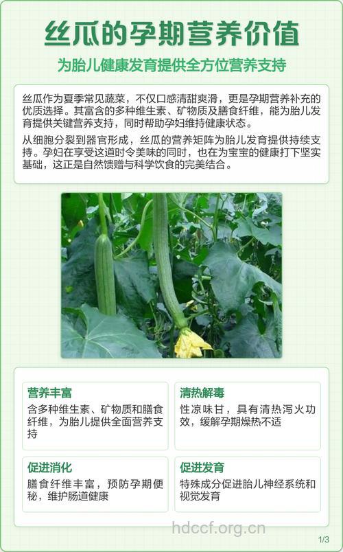 怀孕孕妇可以吃丝瓜吗