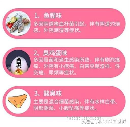 什么是厌氧菌感染 厌氧菌性阴道炎的症状