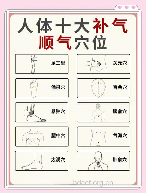 中医养生穴位可有助女于人补气养血