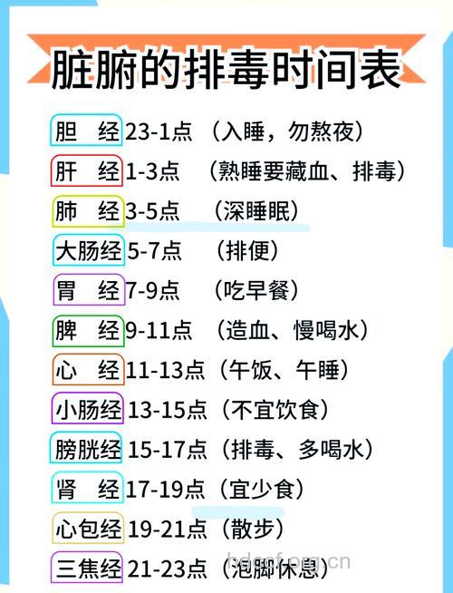 五脏六腑最佳的排毒时间