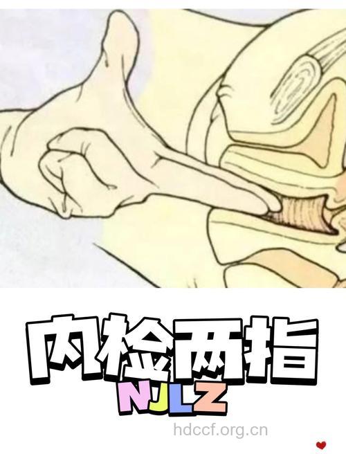 内检是什么 内检的过程是怎样的