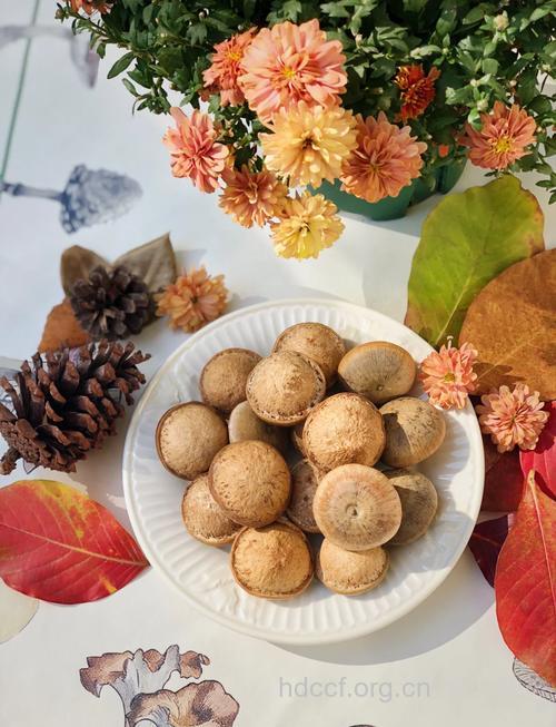 滋阴补肾的水果有哪些?