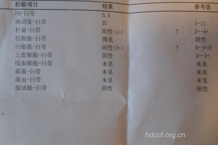 白带常规检查的目的 检查结果怎么看