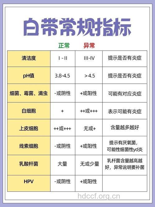 妇科检查 女性检查白带常规有哪些项目