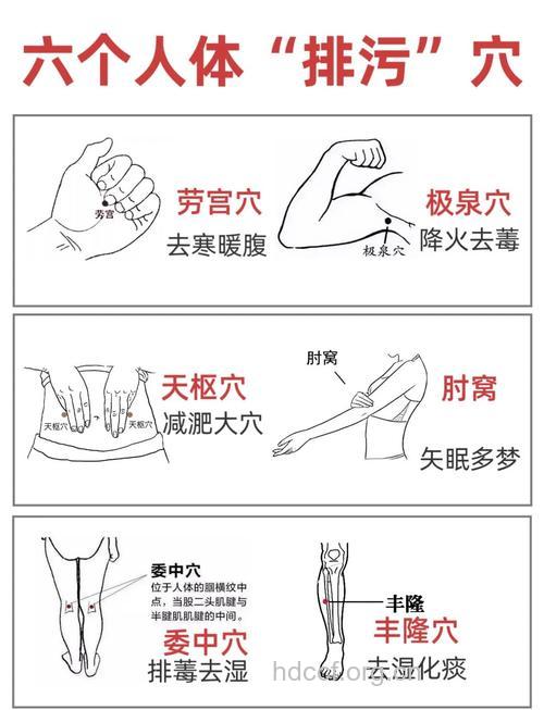 必须排毒清洁的四个部位