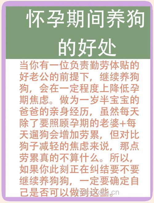 怀孕养宠物有哪些注意事项