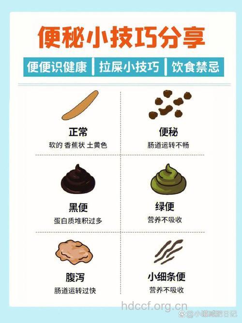 女性健康 每天排便一次是不够的