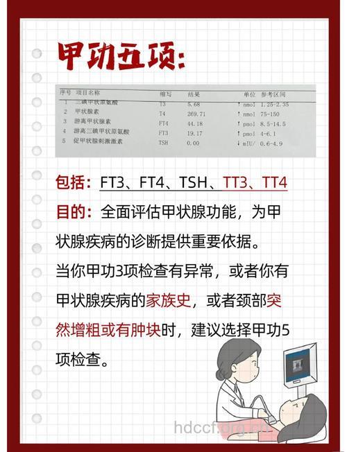 女性应注重甲状腺的体检