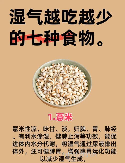 女人吃薏米的好处有哪些