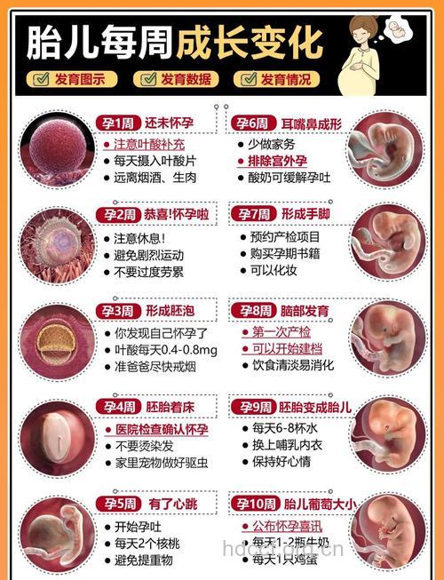 妇科检查会影响胎儿发育