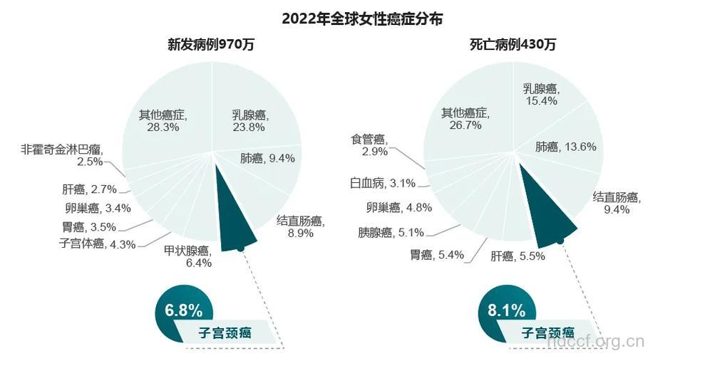 5类宫颈癌高发人群