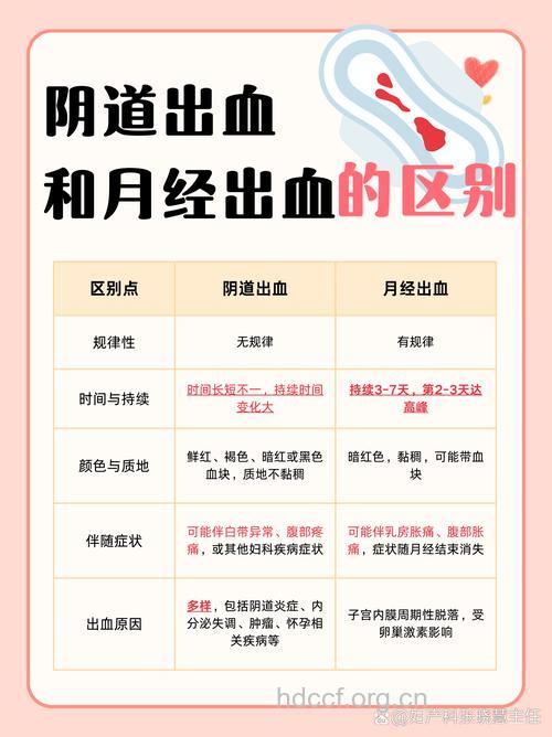 子宫出血的分类表现