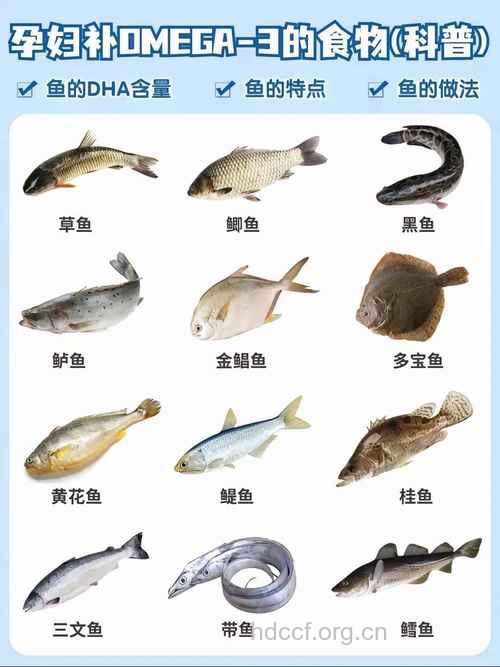 孕妇适合吃哪些鱼