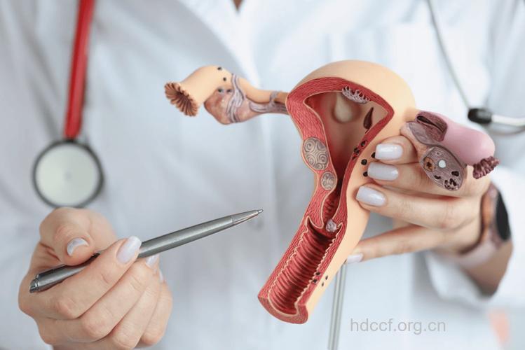 阴道在古代的各种叫法