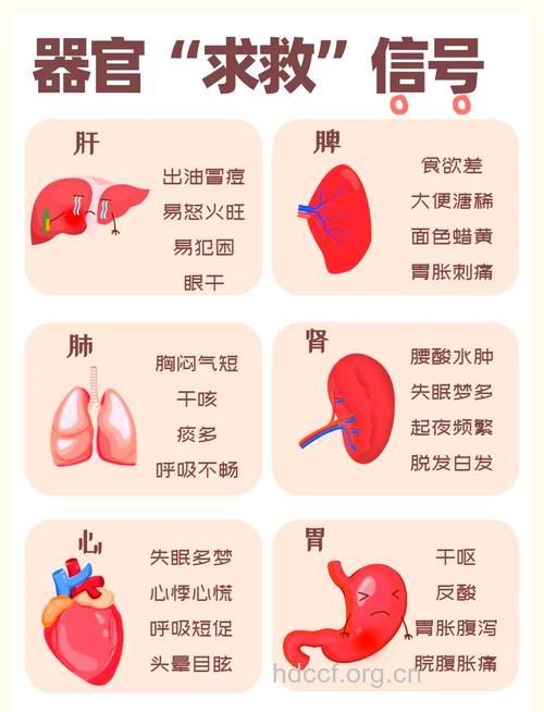 女人要精心呵护身体5大器官