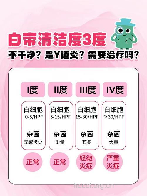 妇科清洁度3是什么意思?