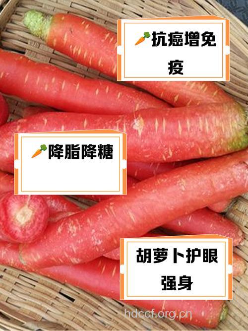 月经期可以吃胡萝卜吗