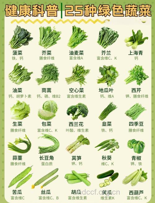 女人们夏天不得不吃的6种蔬菜