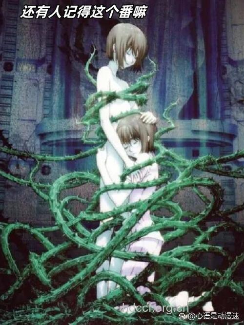 毁灭子宫的四大杀手