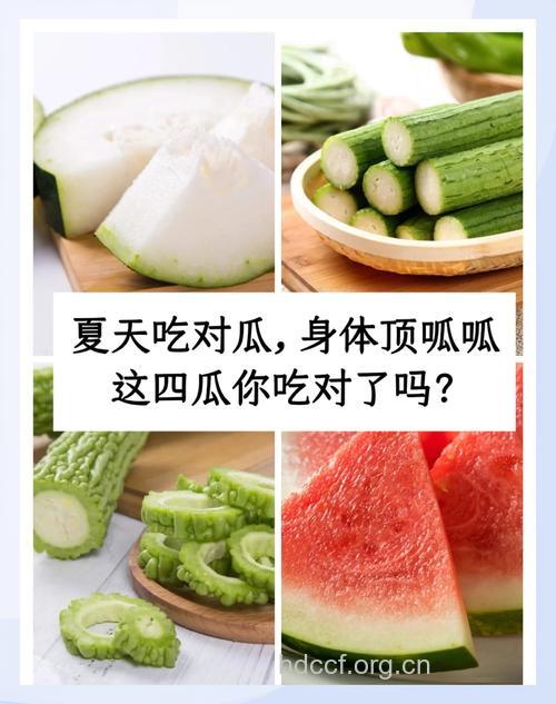 多吃三种瓜 轻松过夏天