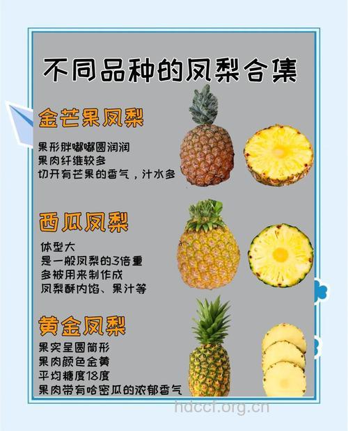 春天菠萝怎么吃最营养