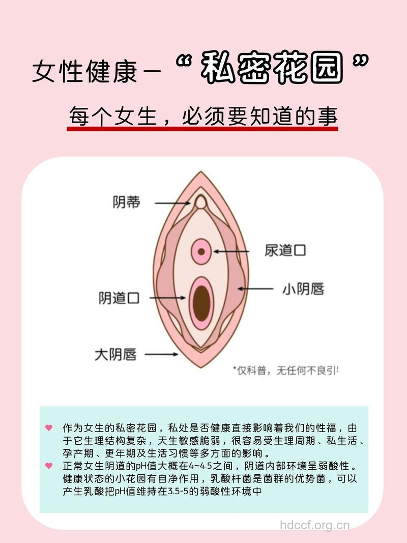 女人要注意保护阴蒂