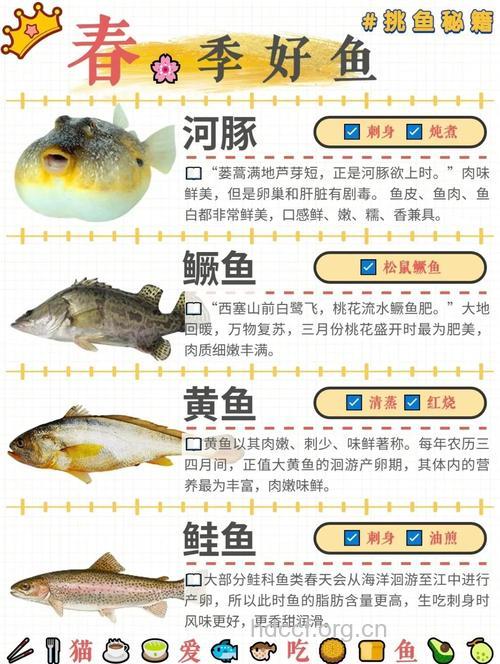 春季哪些鱼类最好吃