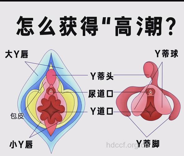 女人性饥渴的8大暗示