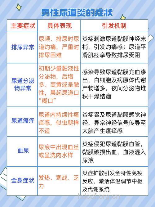 尿路感染尿道炎的四大症状