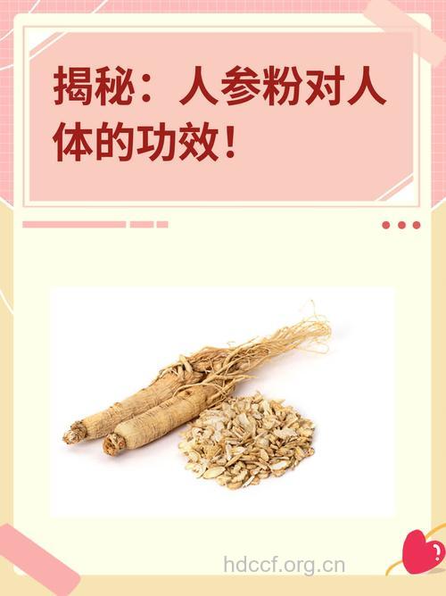 孕妇能吃粉光参或人参吗