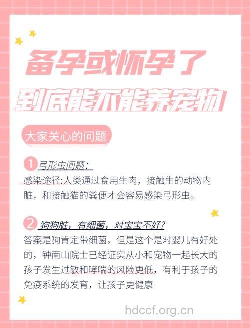 孕妇可以养宠物吗