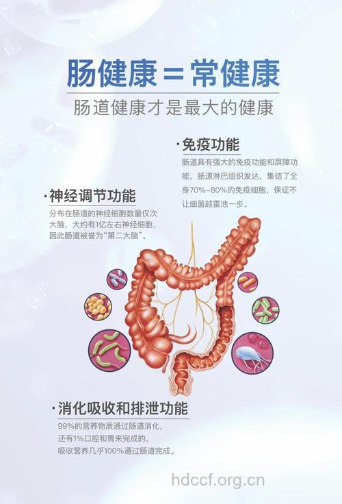 爱护肠道延缓衰老