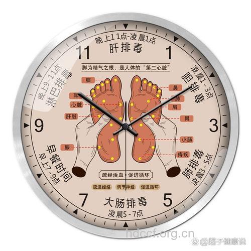 晚上11点养胆最佳时间