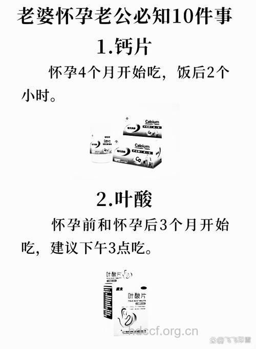 孕妇什么时候需要补叶酸