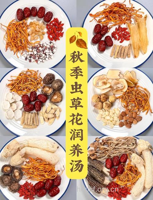 秋季女性养生食谱有哪些