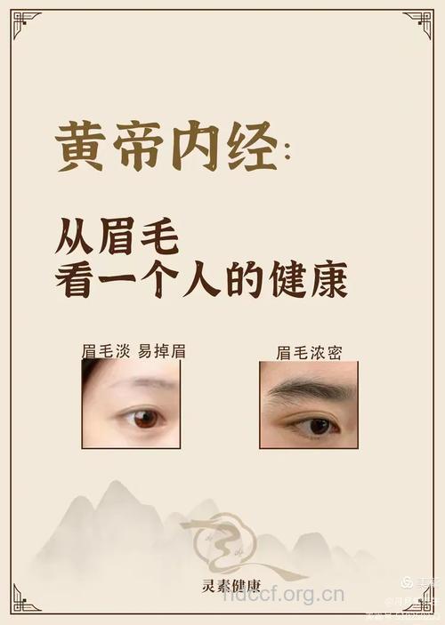 从眉毛识别你的健康状况