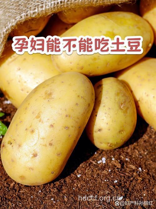 孕妇最好少吃土豆